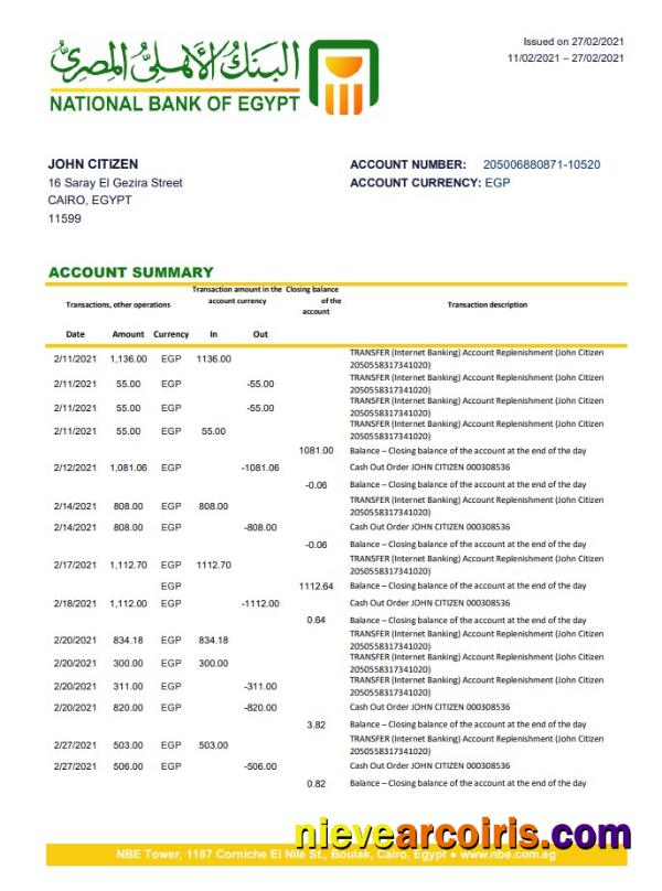 Egypt National Bank of Egypt bank statement easy to fill in Excel and PDF format
